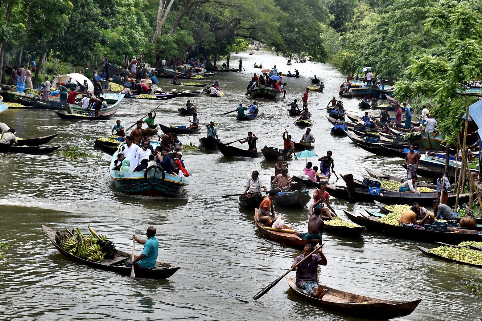 Floating guava market of Bhimruli, Pirojpur 1