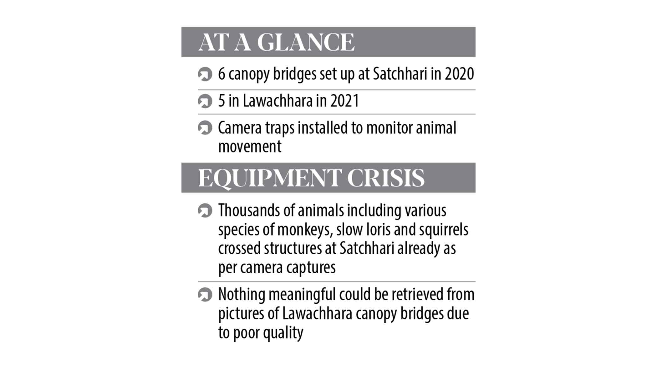 satchari-mammals.jpg