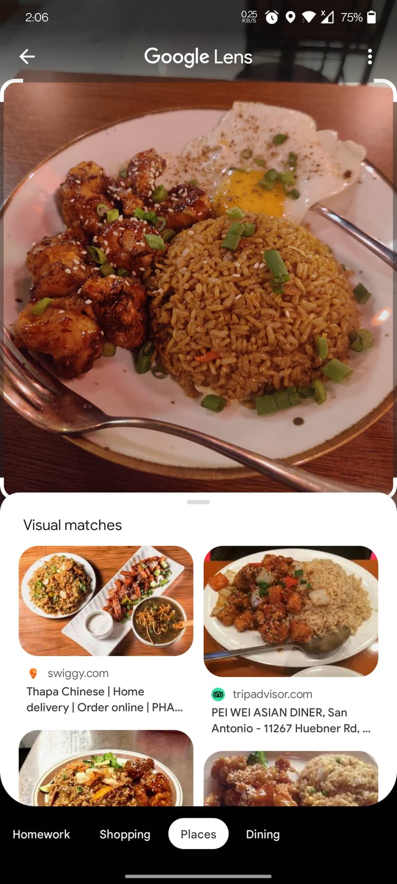 google_lens_screenshots_2.jpg