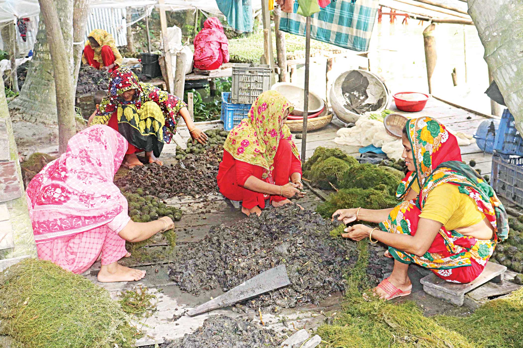 pirojpur_floating_cultivation.jpg