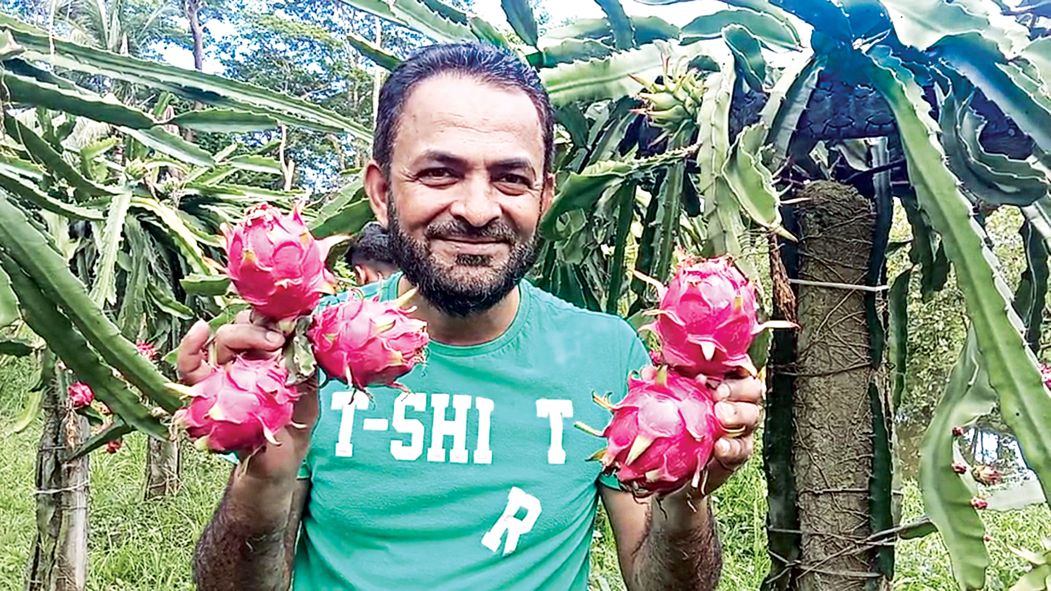 dragon-fruit-2.jpg