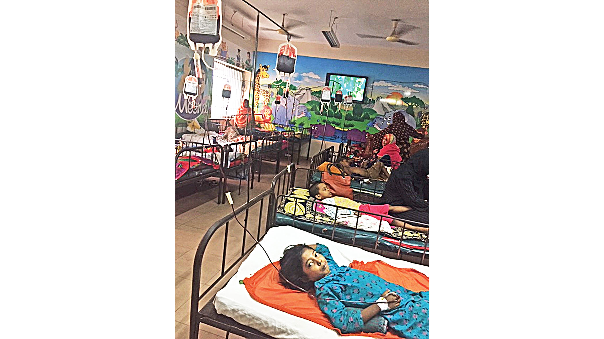 thalassaemia-2.jpg