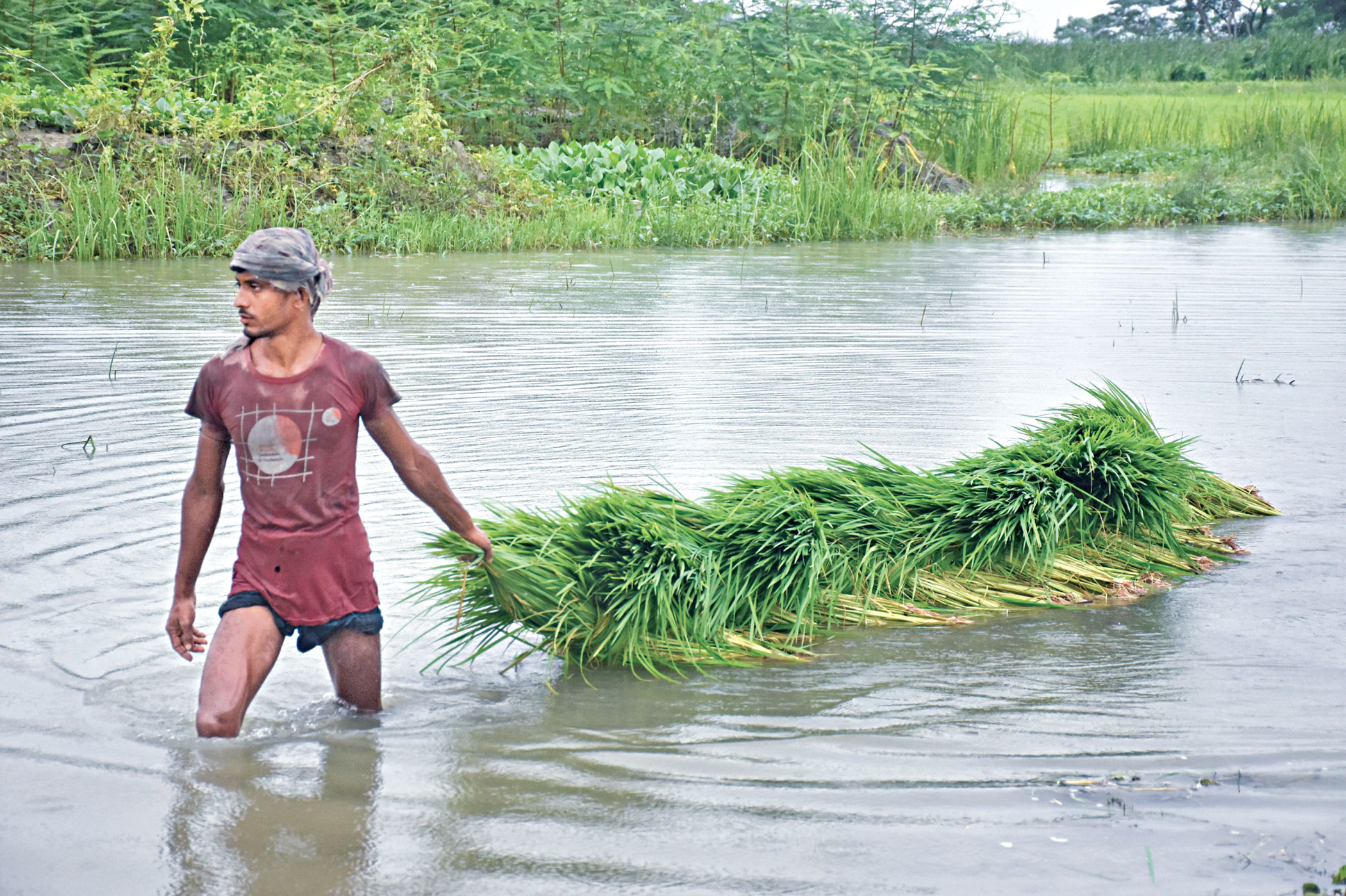 northern-districts-of-bangladesh-2.jpg