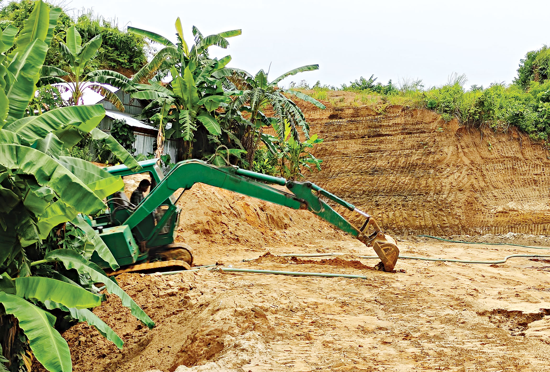 jungle-salimpur13.jpg