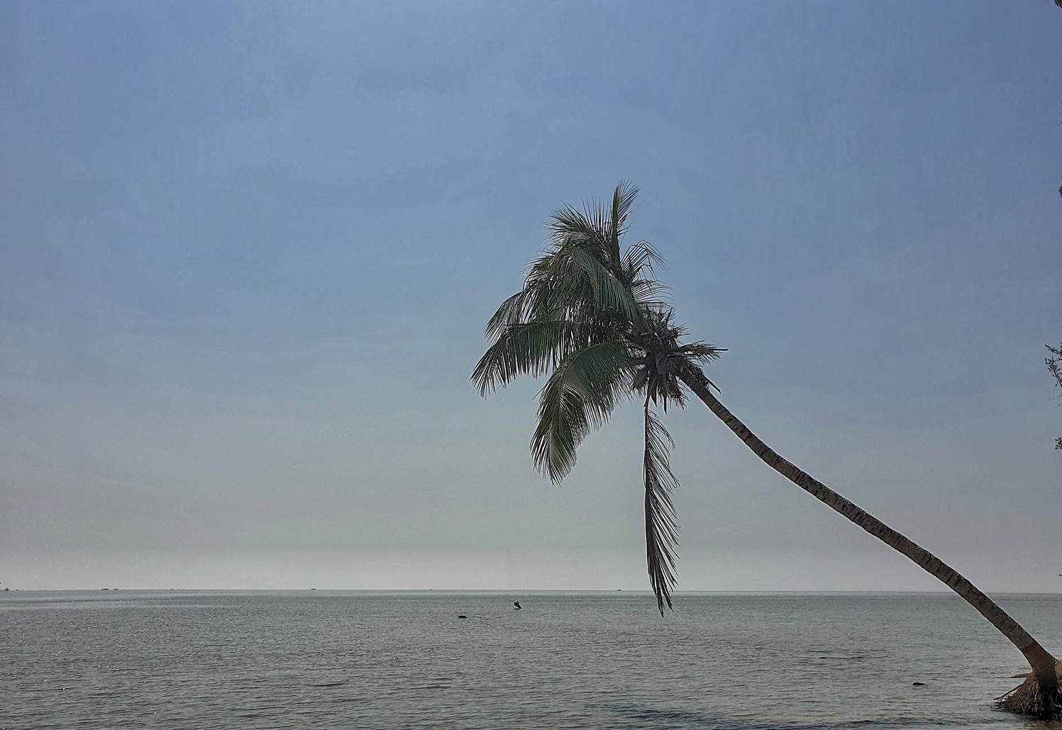 Sundarbans beach