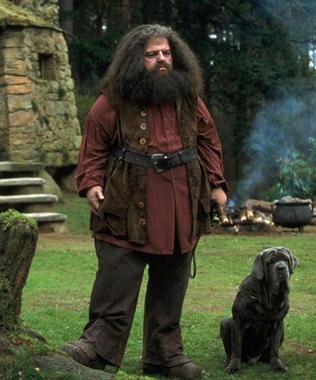 b0a0896712a97148a012c8d53331d4df-hagrid-costume-harry-potter-costumes.jpg