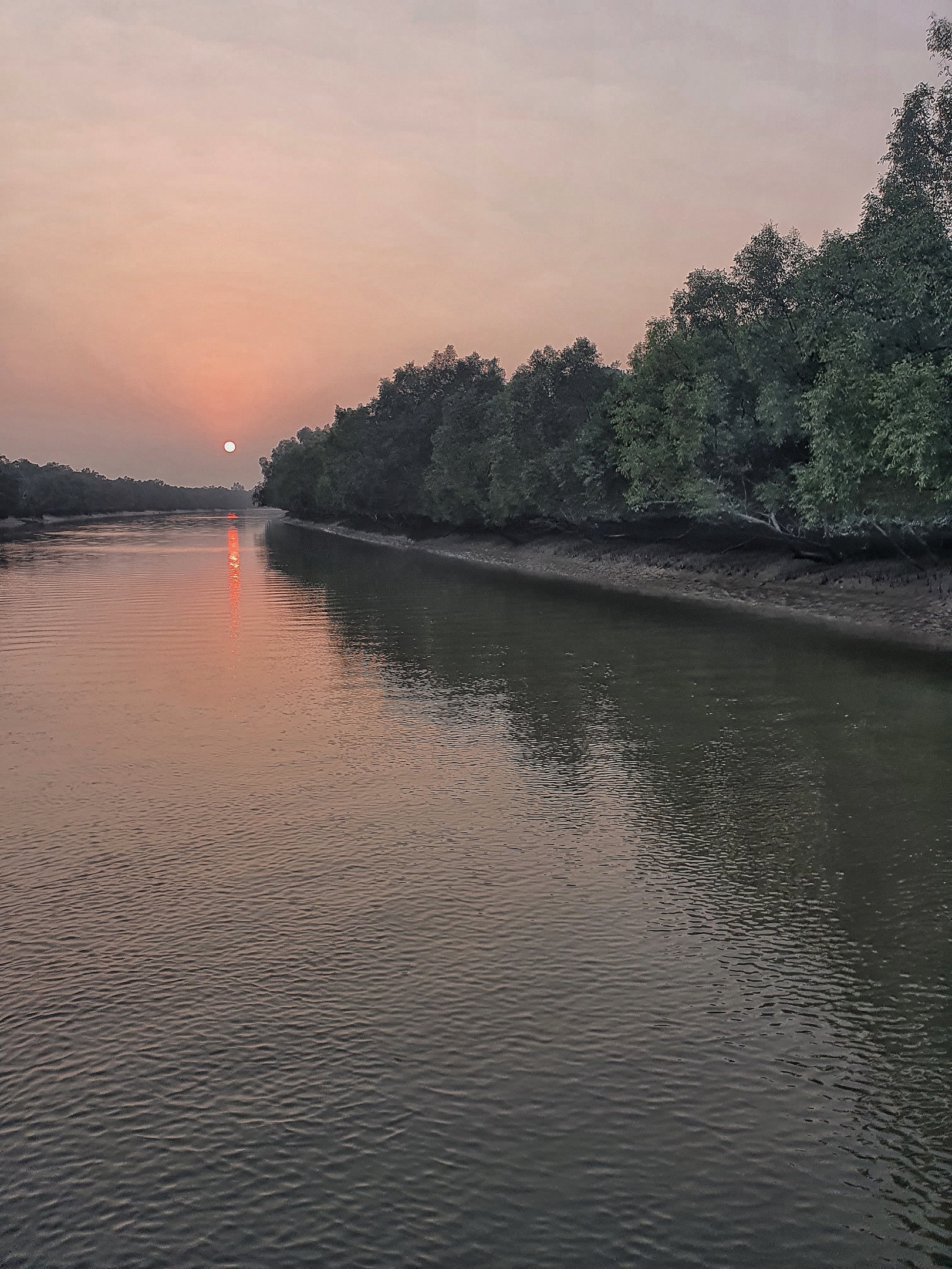 Sundarban 5 great places to visit in Bangladesh this autumn