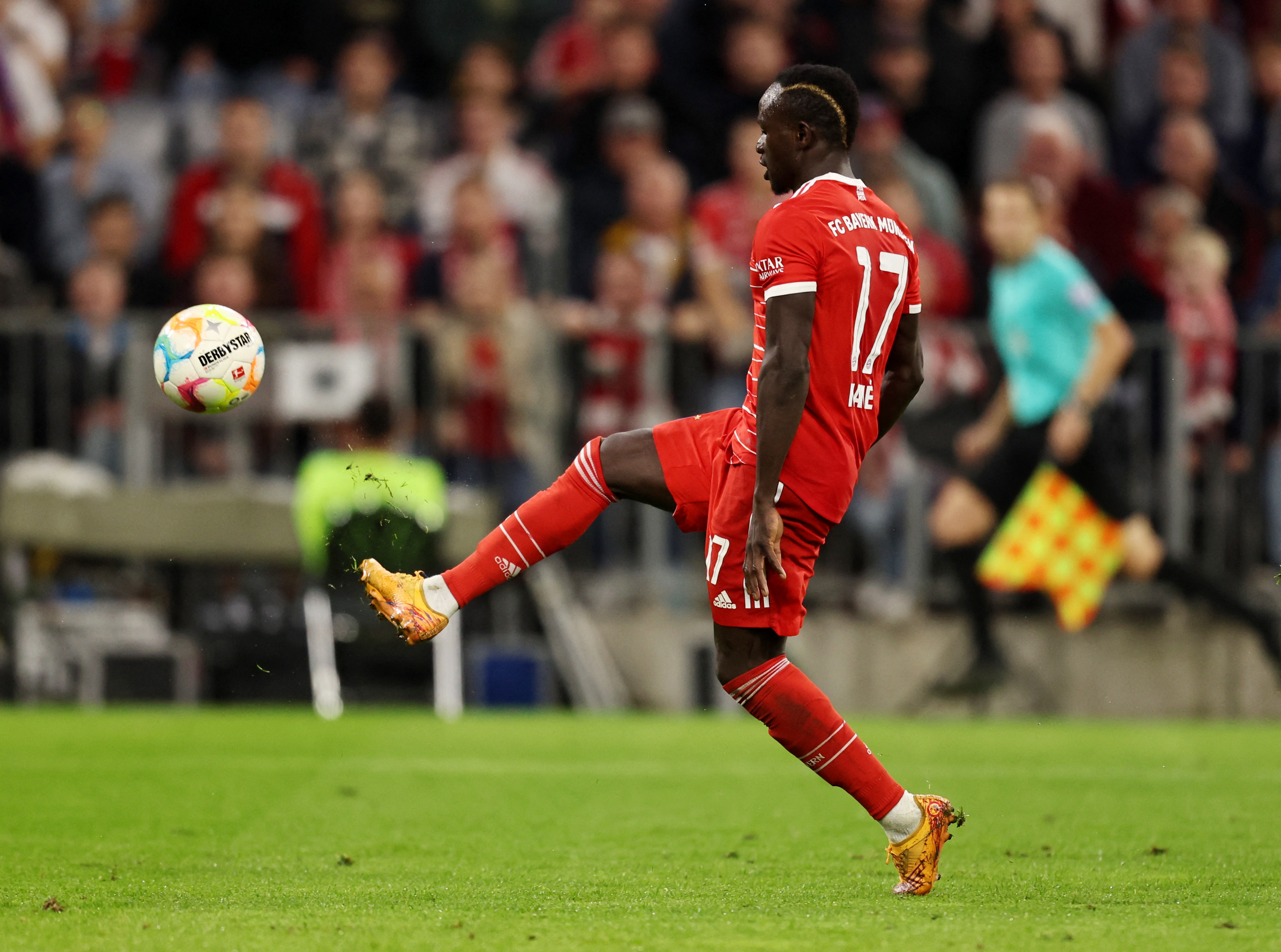 mane.jpg