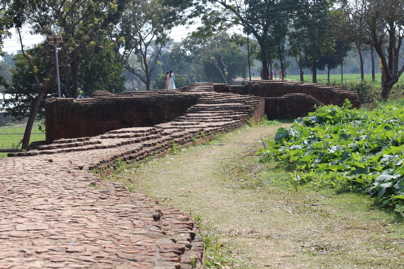 Mahasthangarh Top 5 places to visit in Bogura