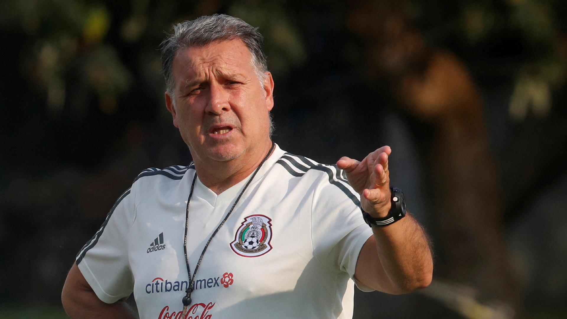 martino.jpg