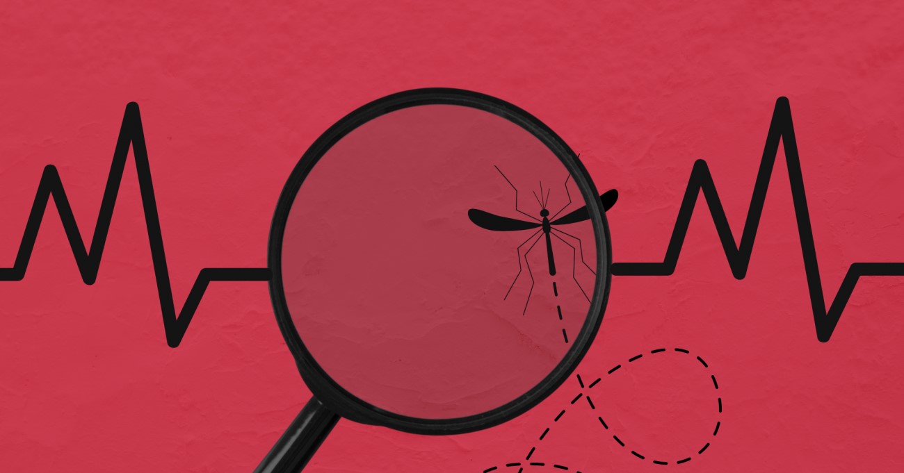Dengue Outbreak in Bangladesh