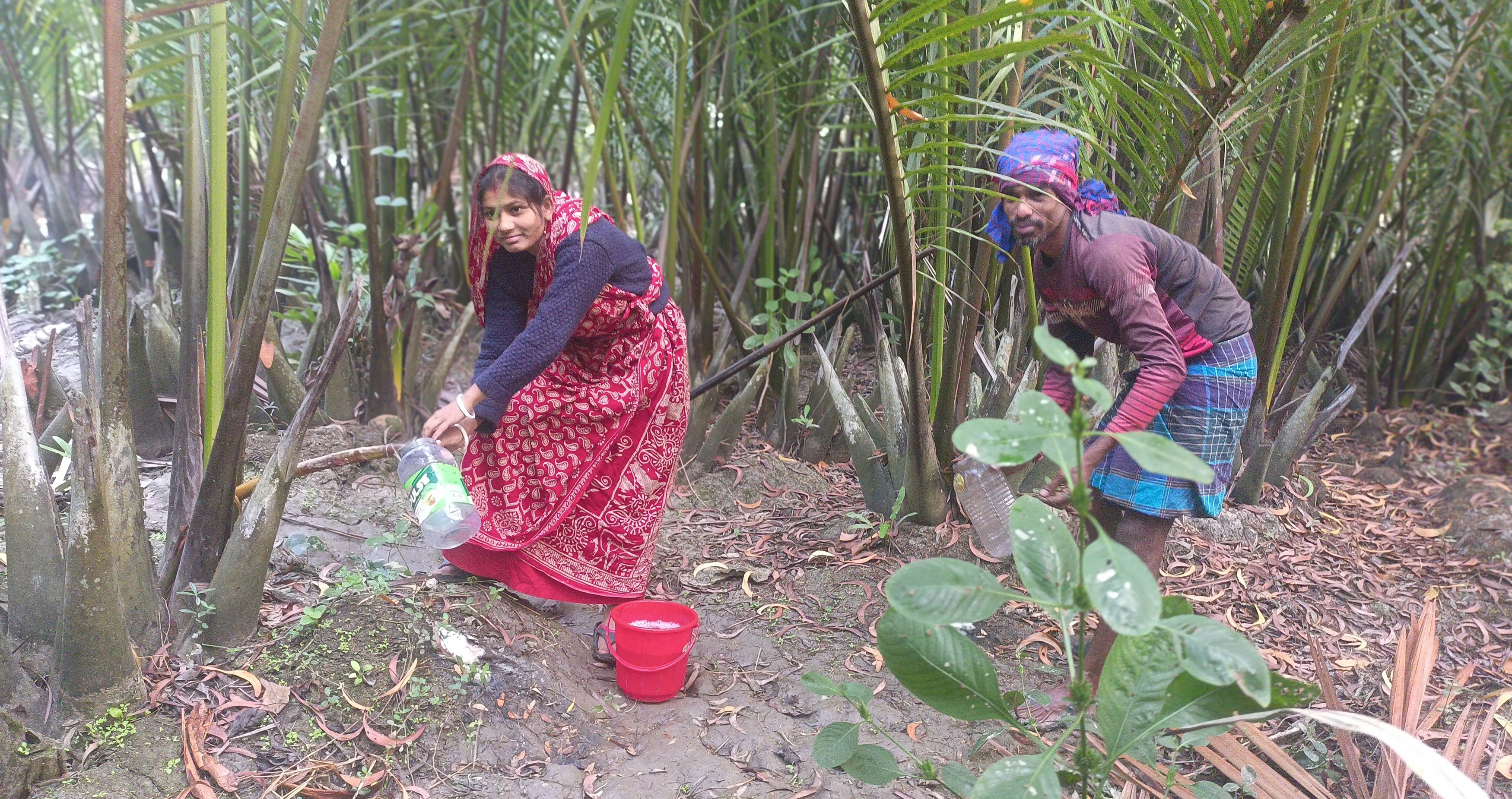 nipa_palm_molasses_5.jpg