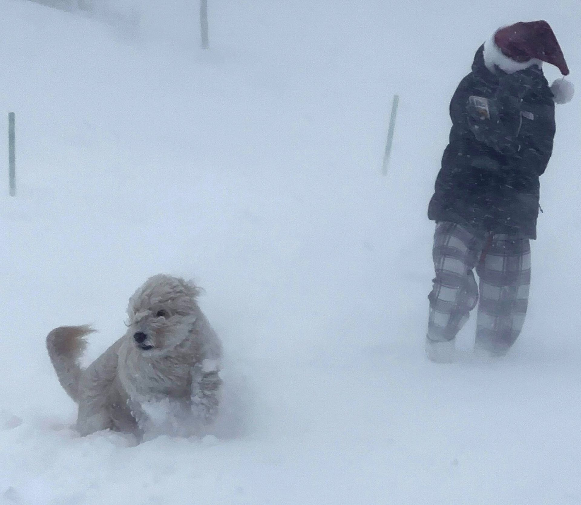 blizzard