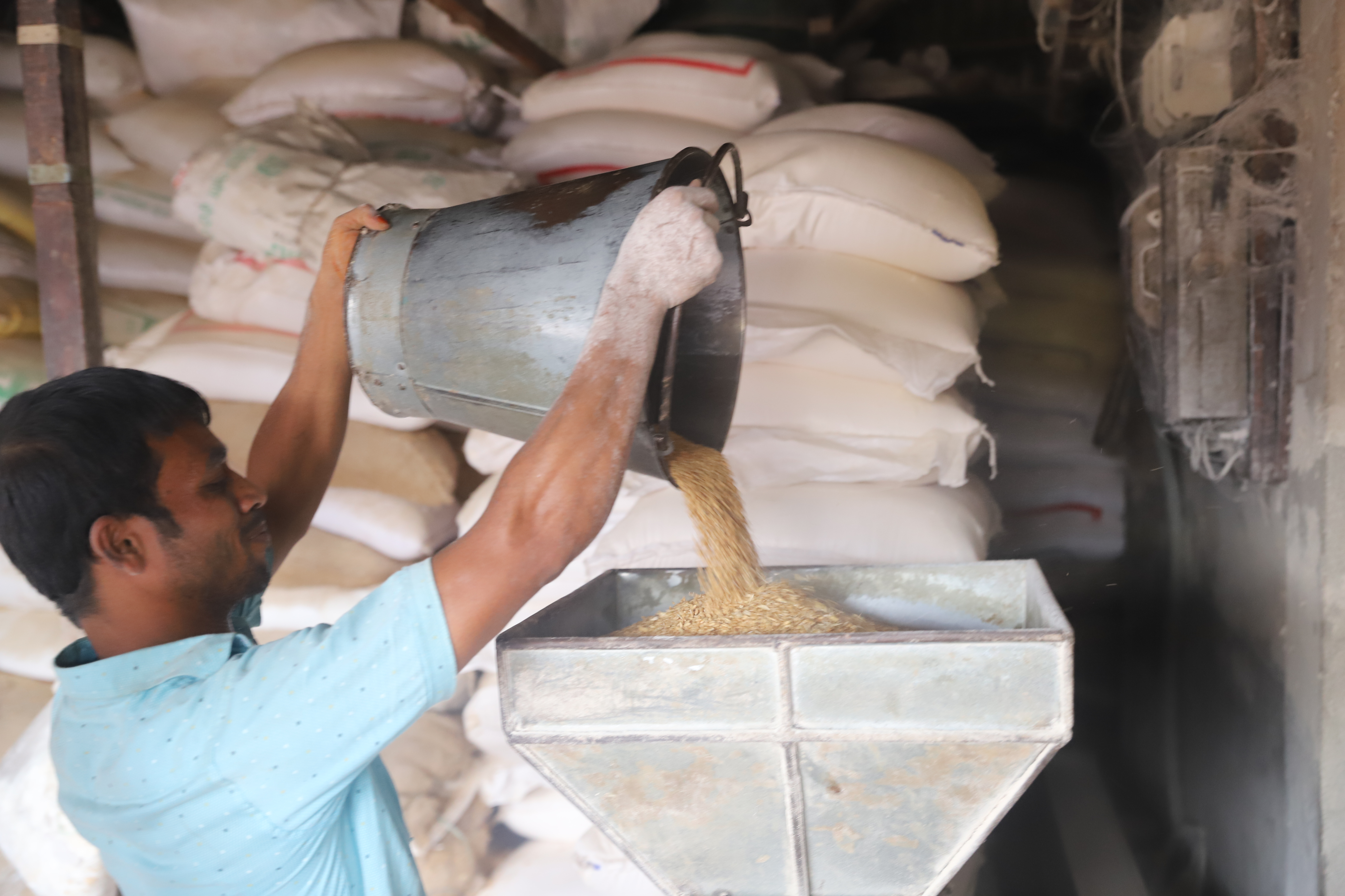 wheat_flour_comes_to_the_scene.jpg