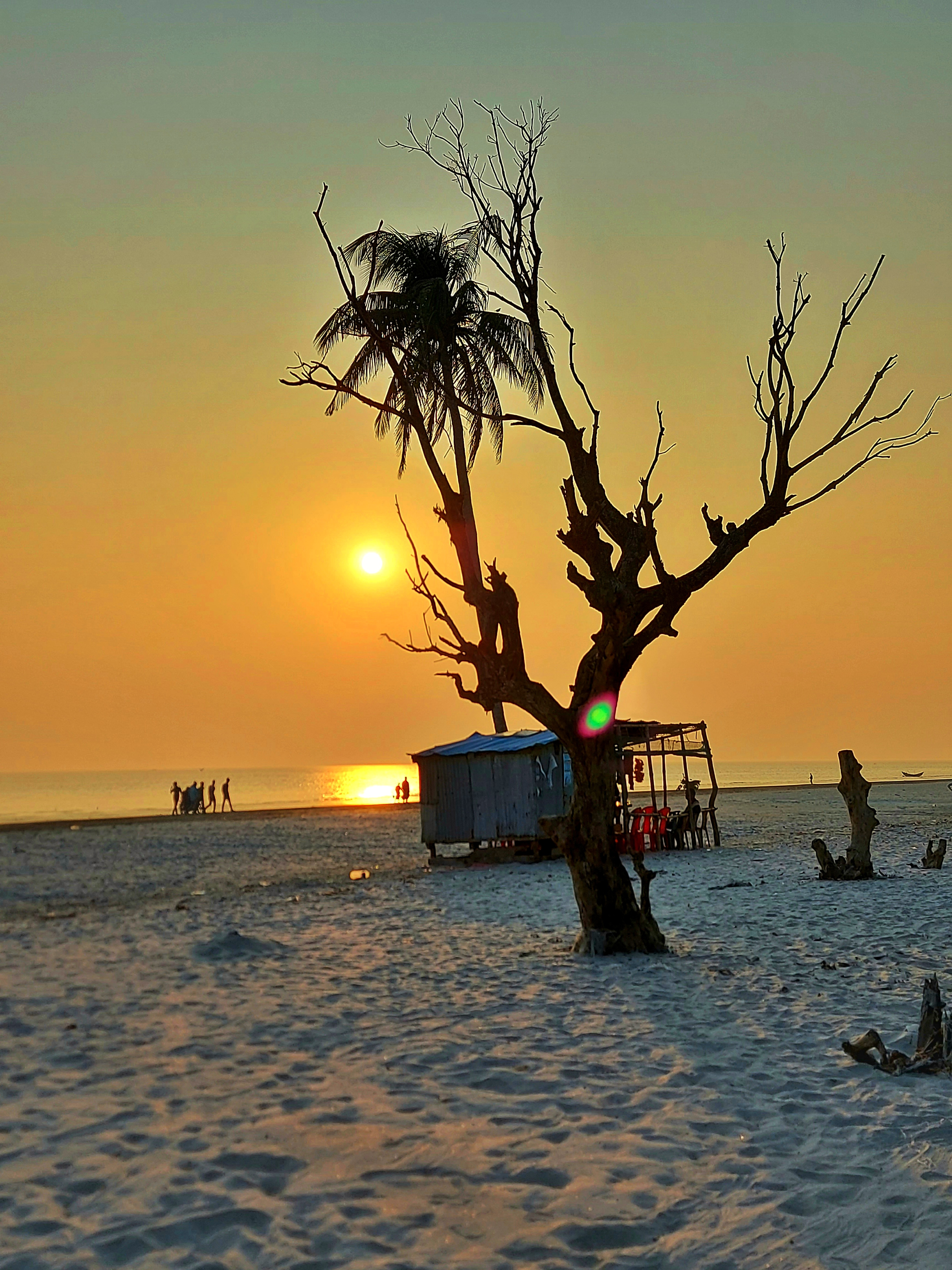 Top 5 resorts in Kuakata 