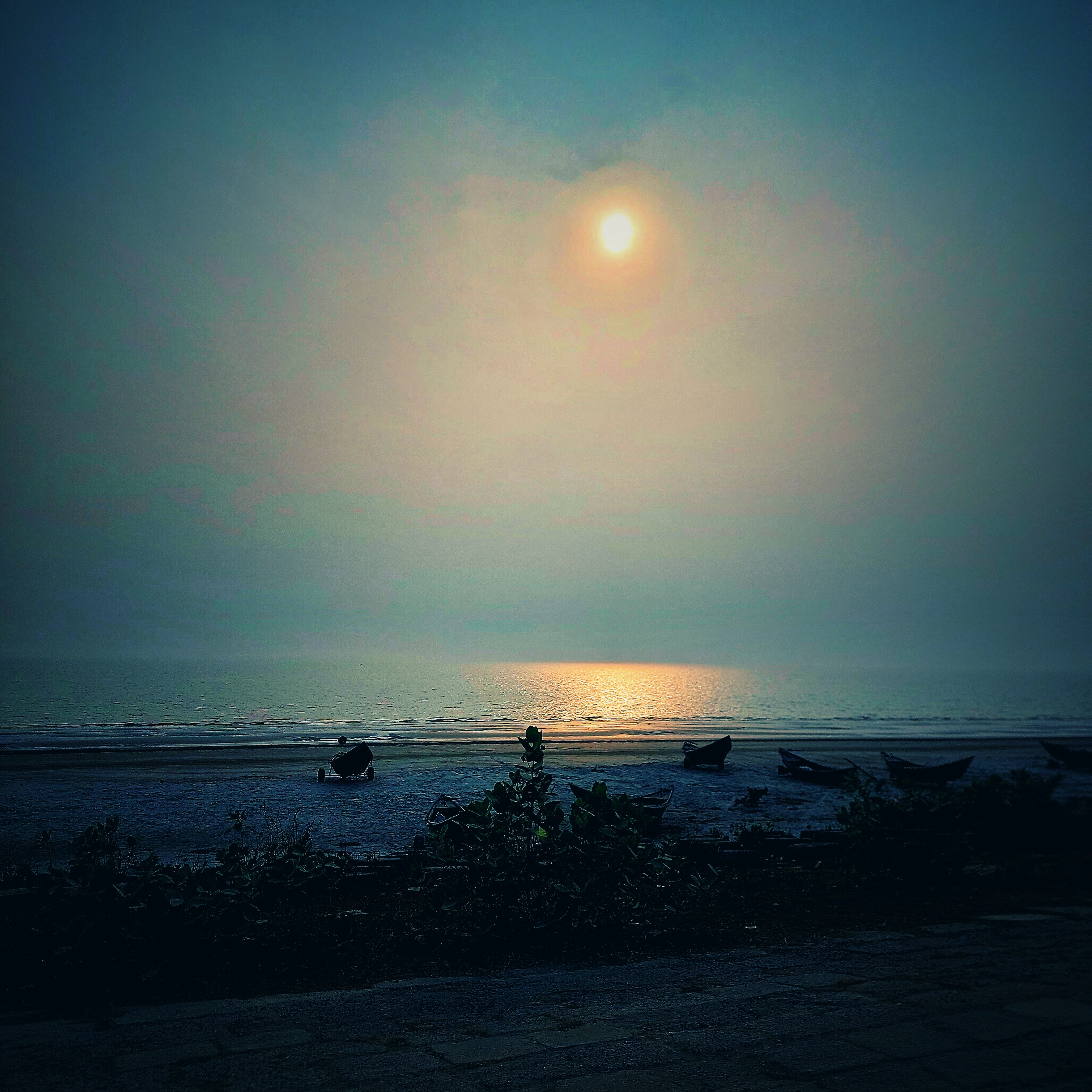 Top 5 resorts in Kuakata 