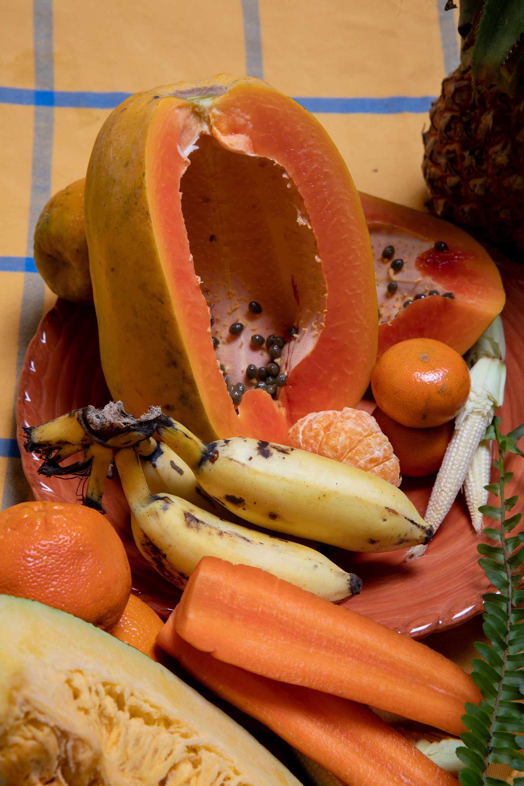 Colourful Fruits