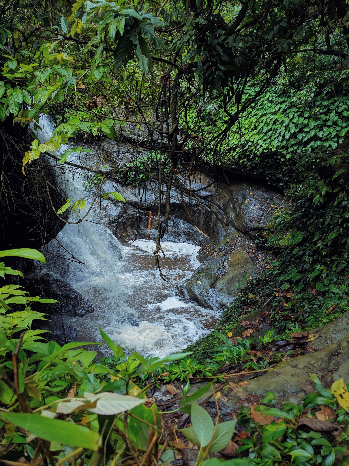 Chottogram Beauty