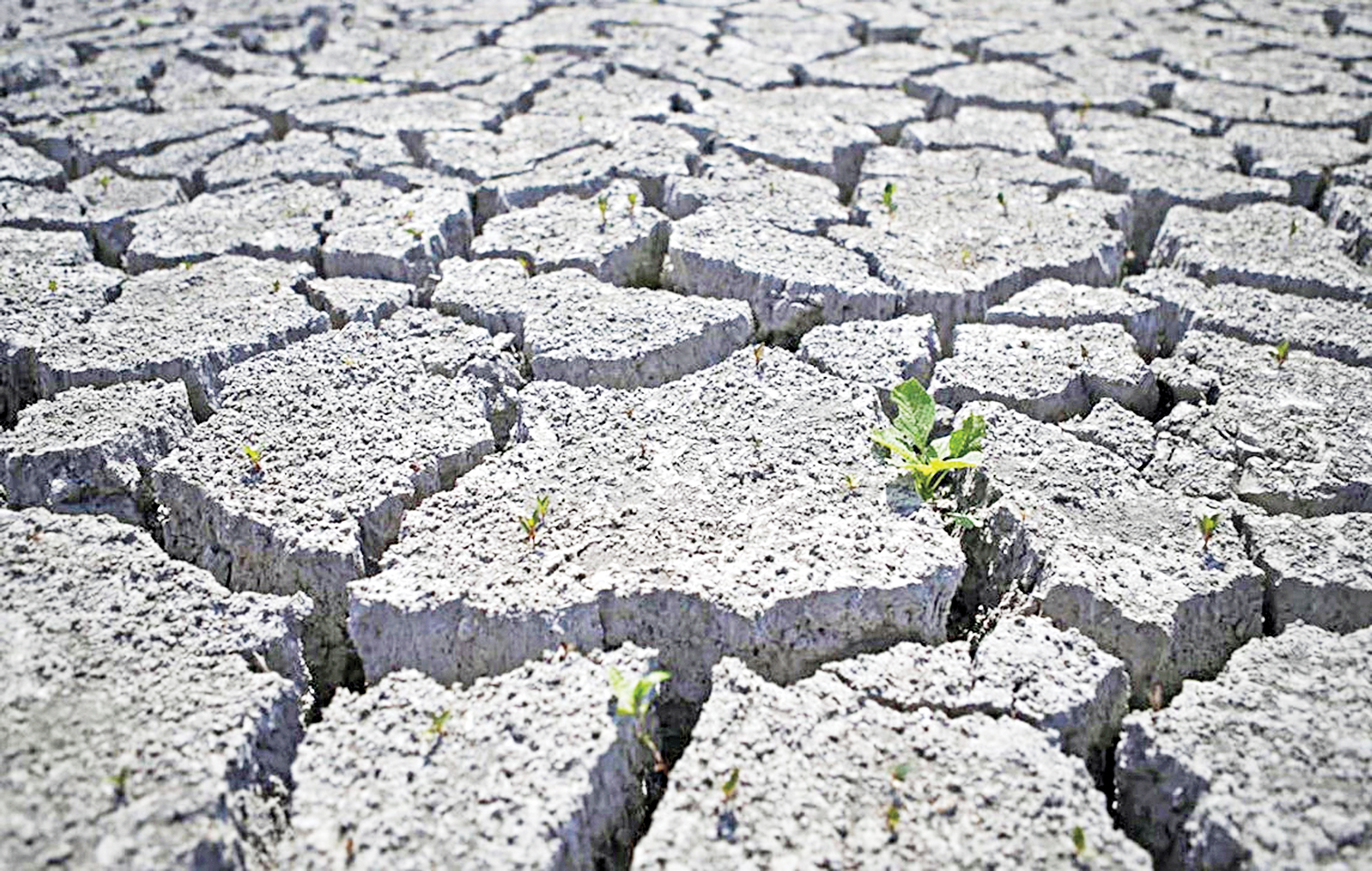 nature-based2.jpg