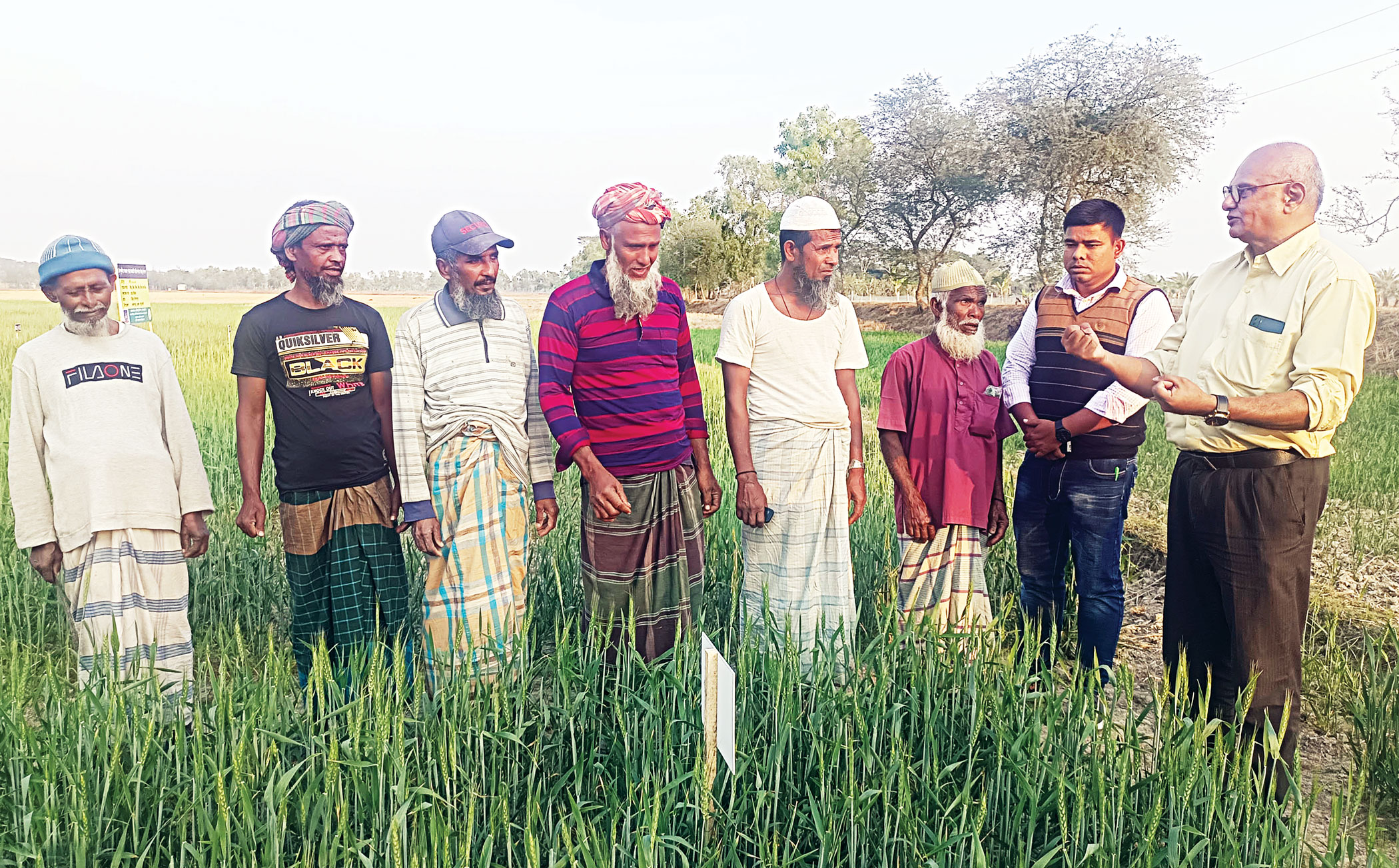 aman-paddy-2.jpg