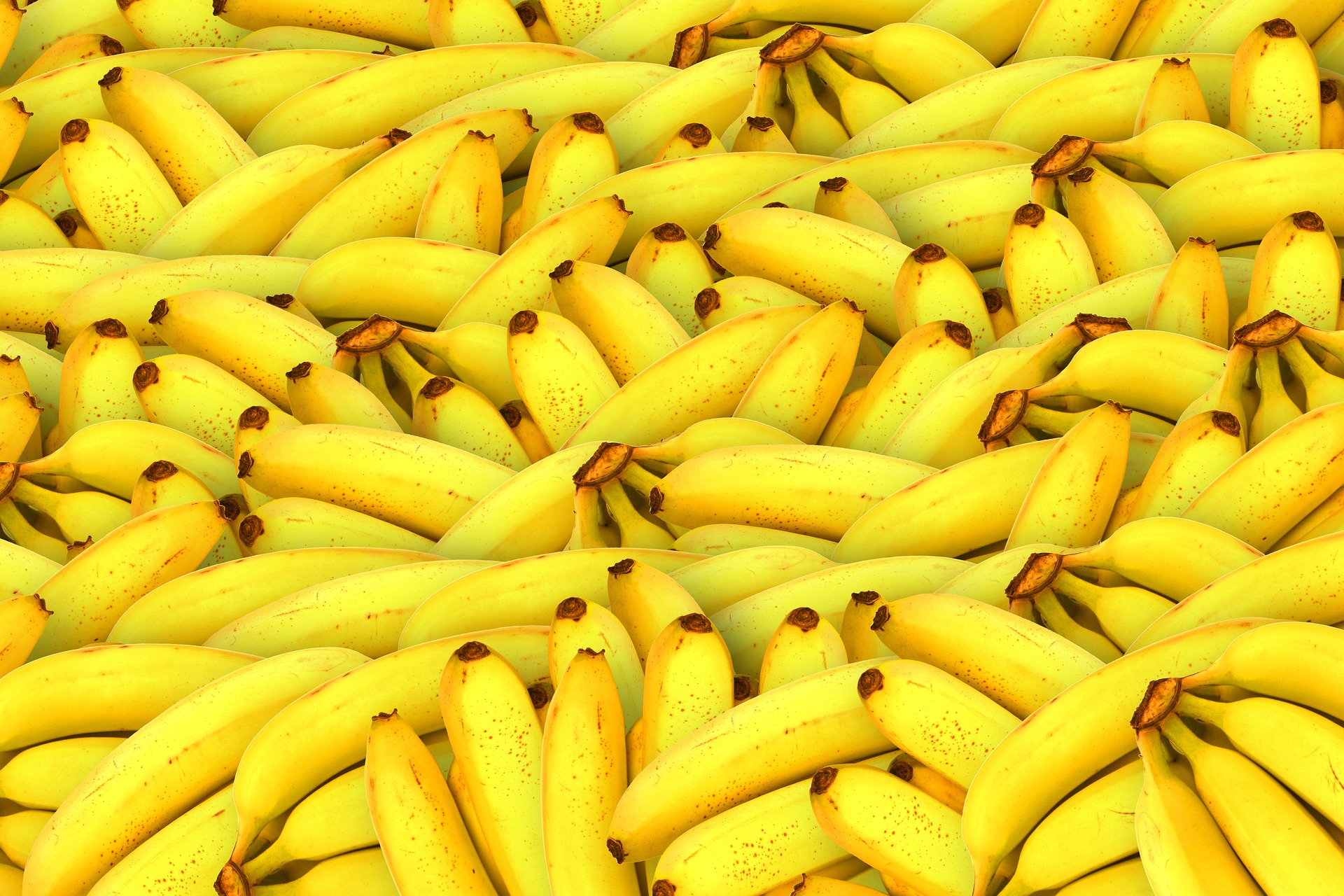 bananas 