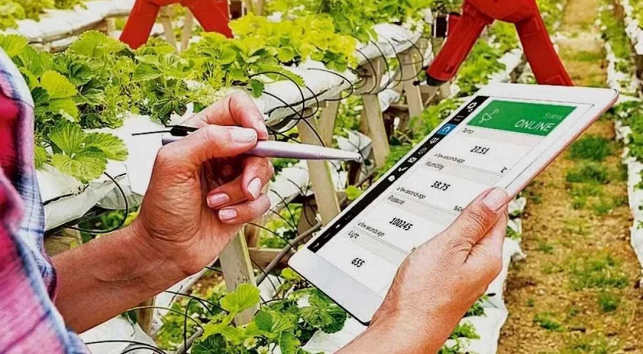 How agritech solutions can drive smart development