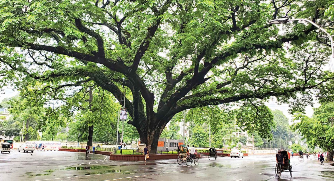 How Dhaka University feels without street vendors