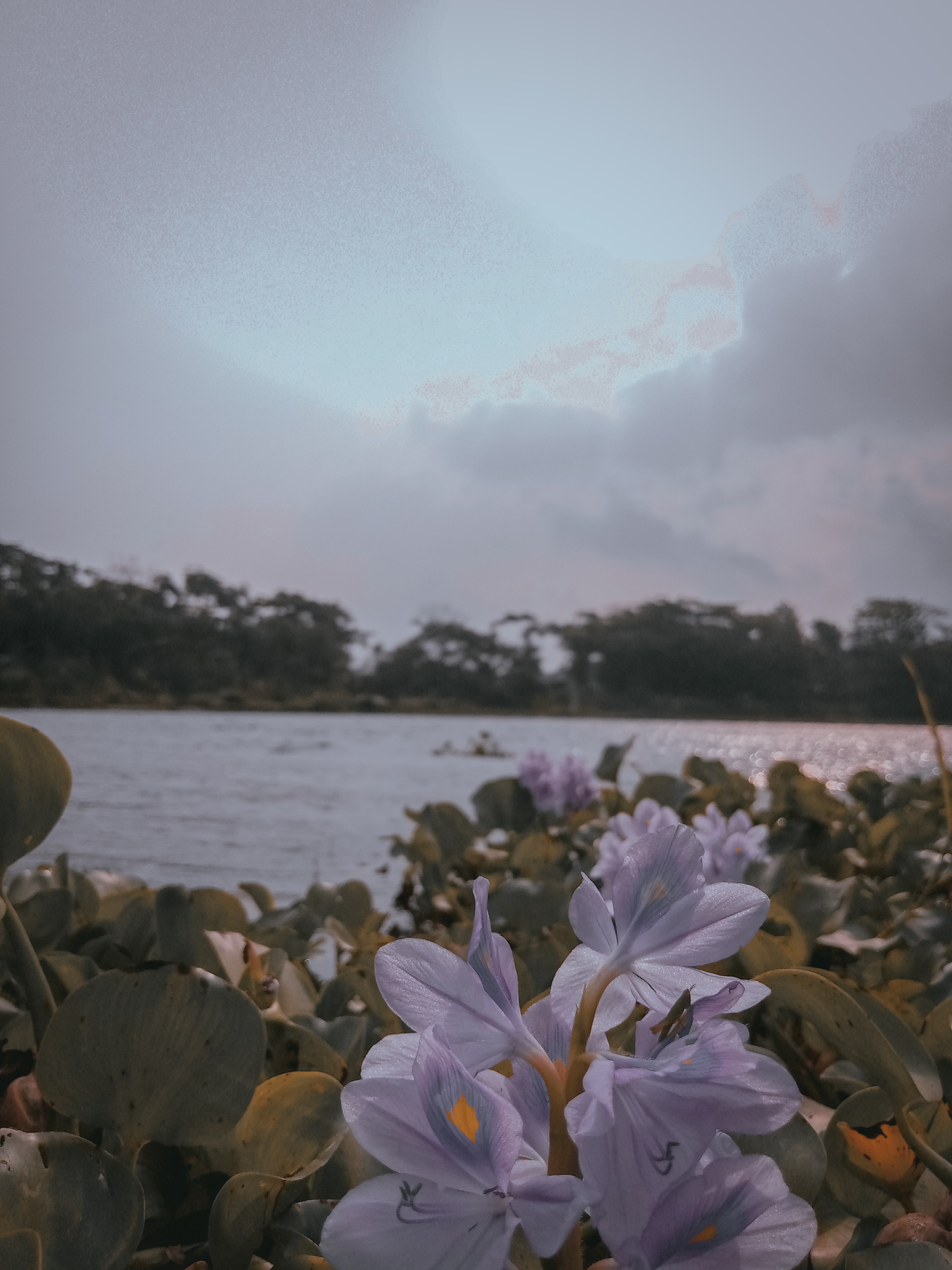 5 chars to visit in Bangladesh 