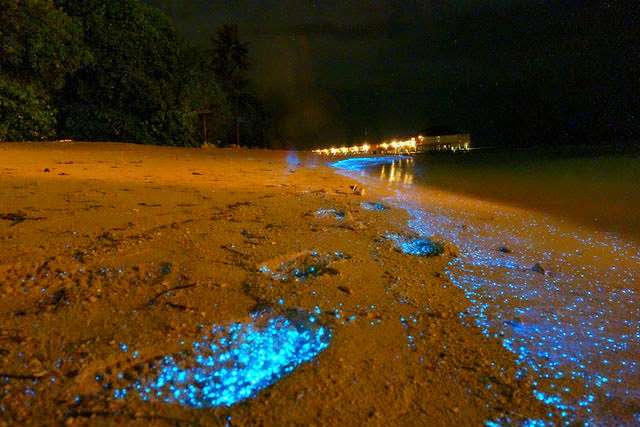 Vaadhoo Island 7 must-visit places for your Maldives vacation