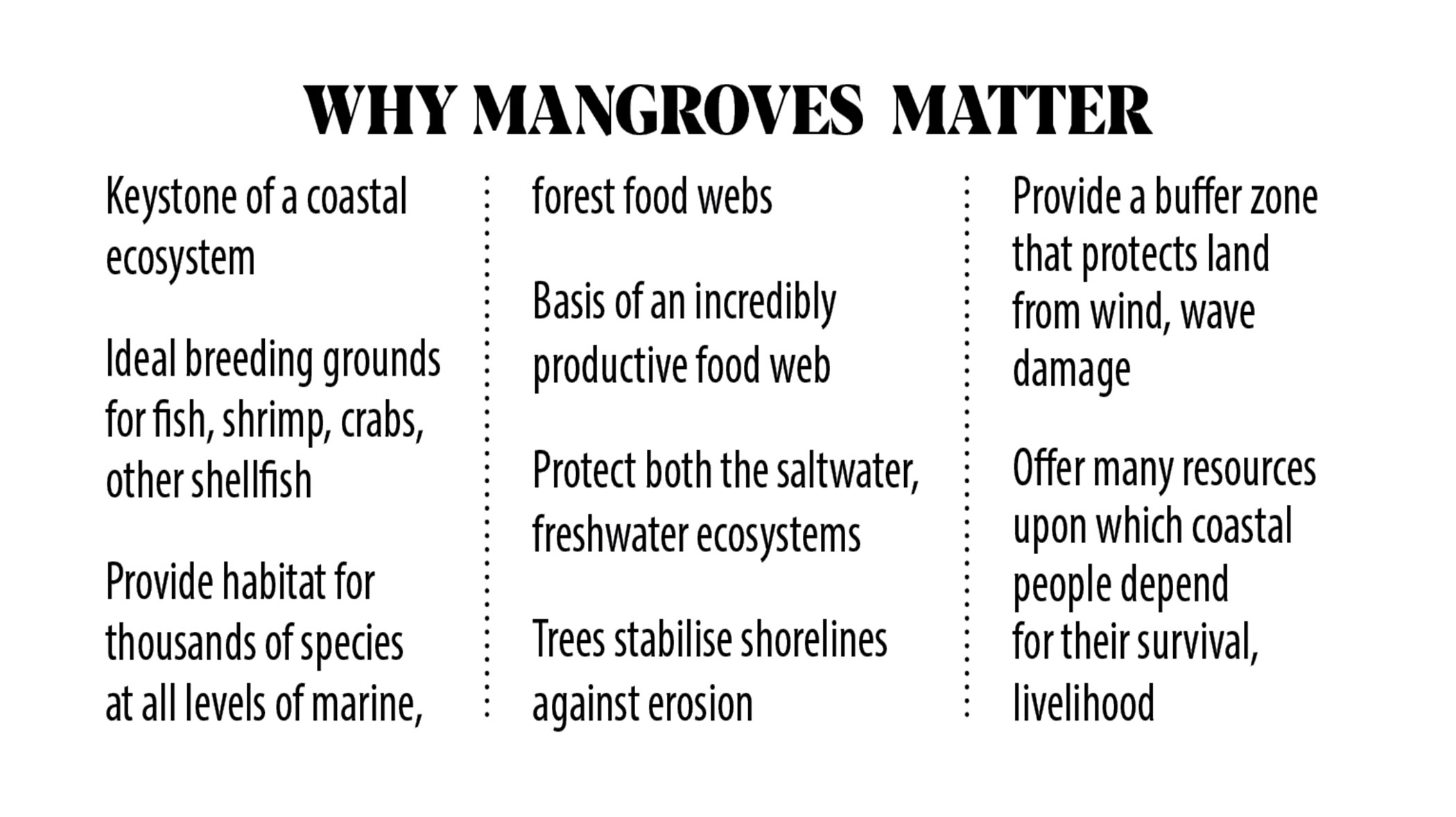 mangrove-forests-4.jpg