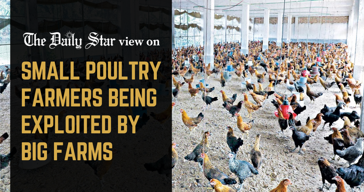 Protect the interests of marginal poultry farmers