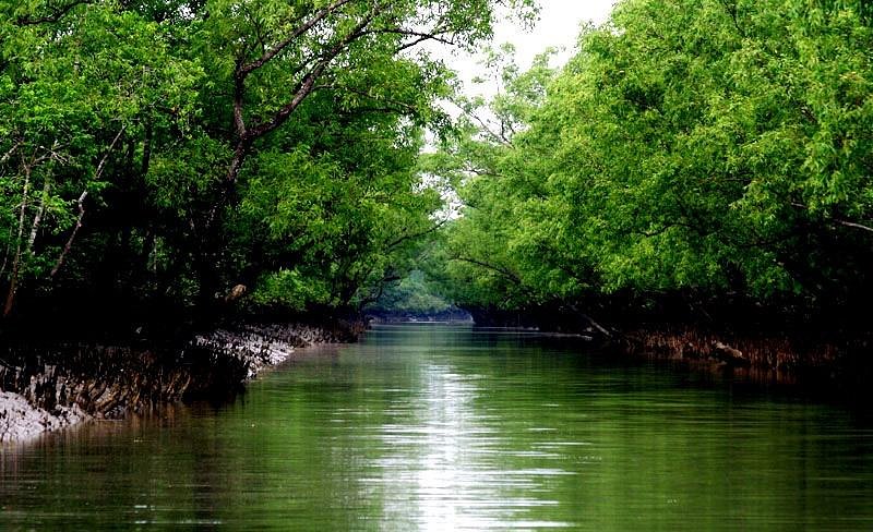 sundarban Top 5 boat tours in Bangladesh you should not miss