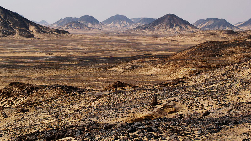 Black and White Desert Top 5 desert holidays you can plan for your next vacation