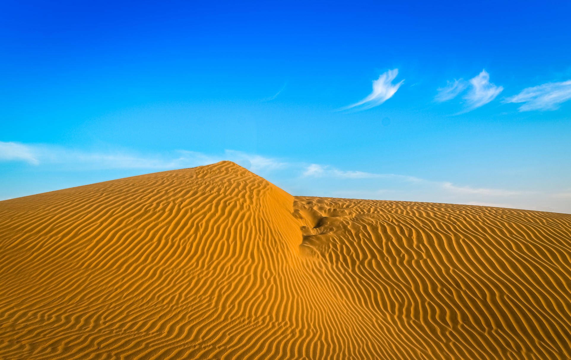The Thar Desert Top 5 desert holidays you can plan for your next vacation