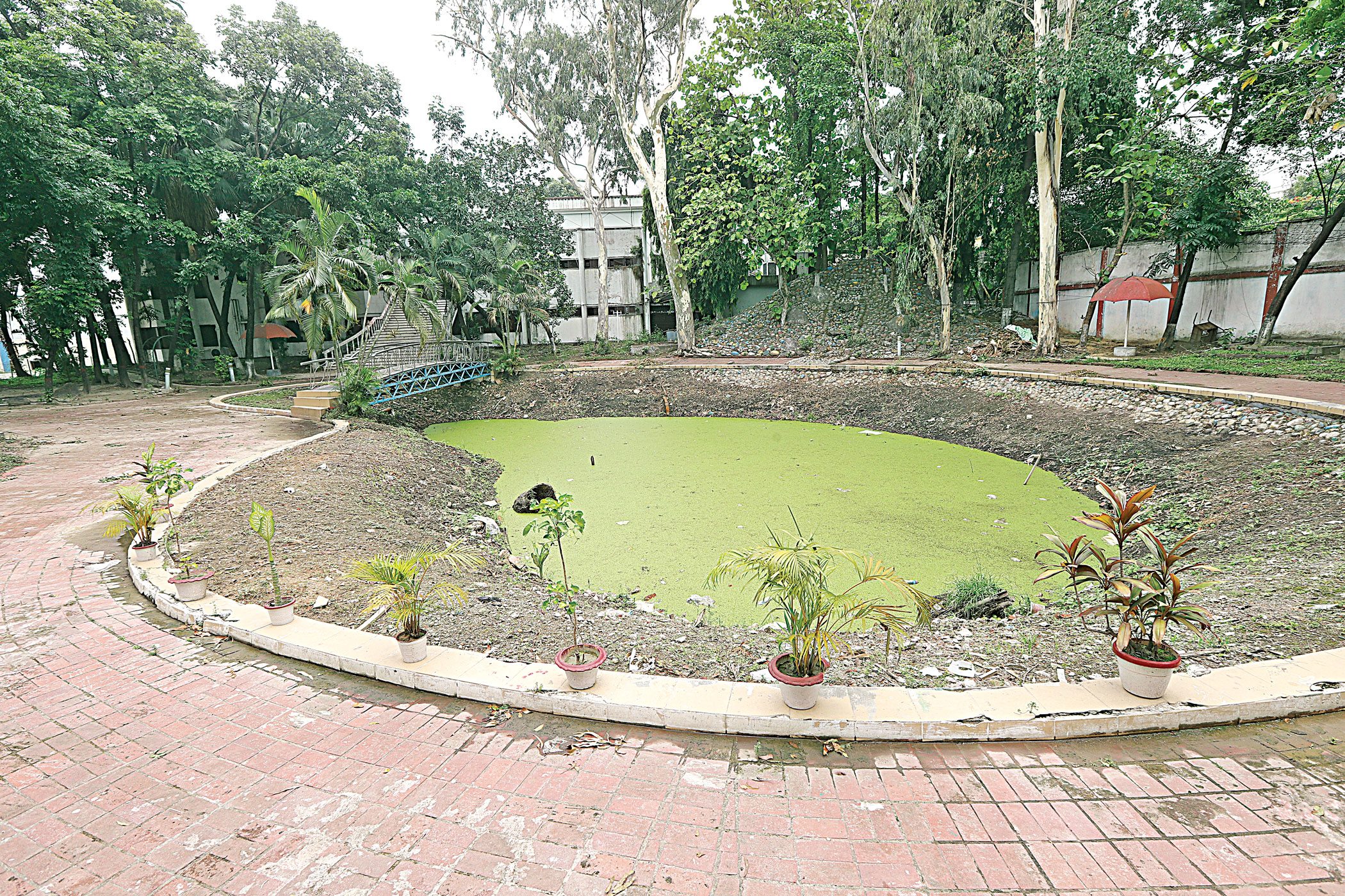 bangladesh-film-development-corporation-4.jpg