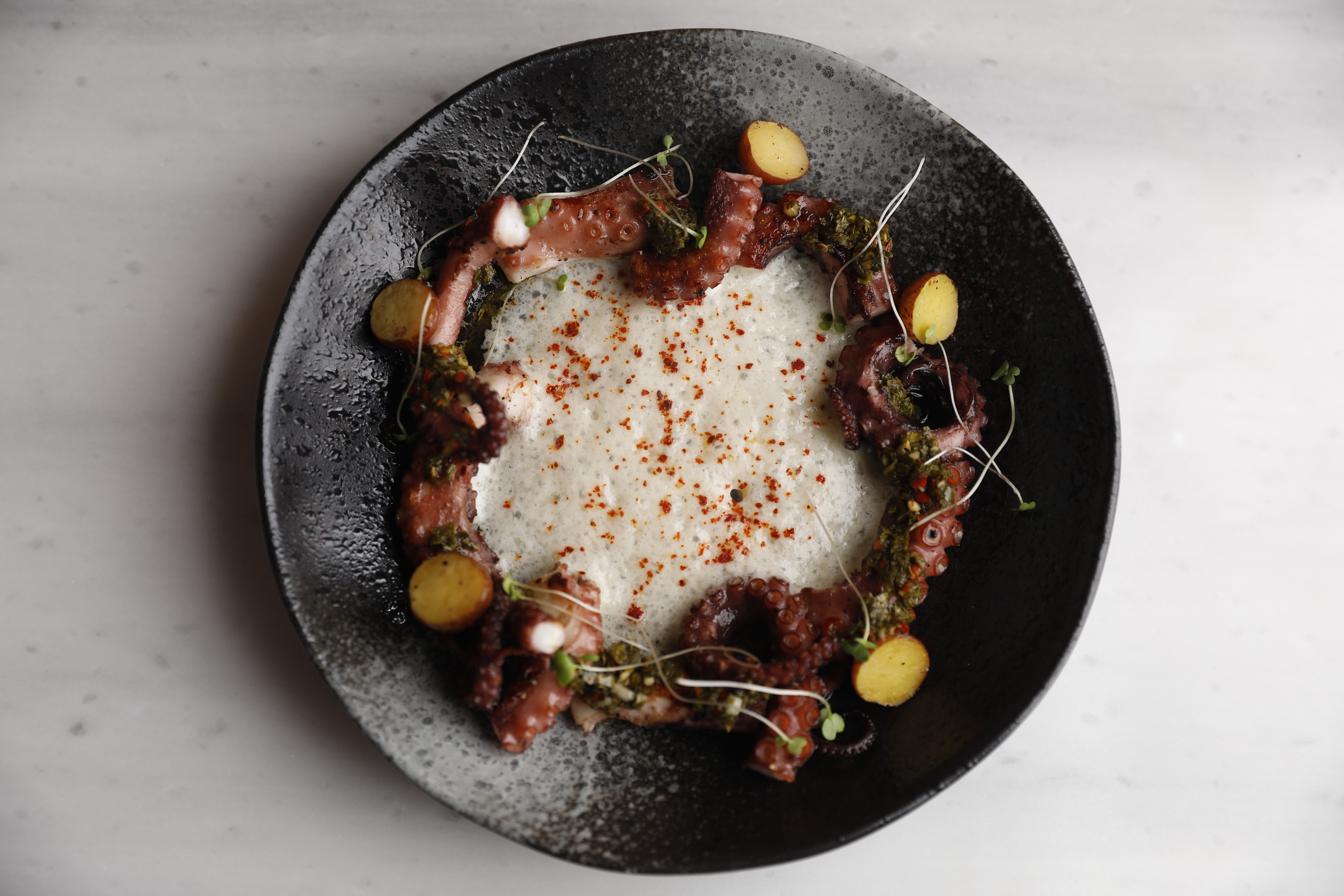 A culinary voyage of conceptual delights