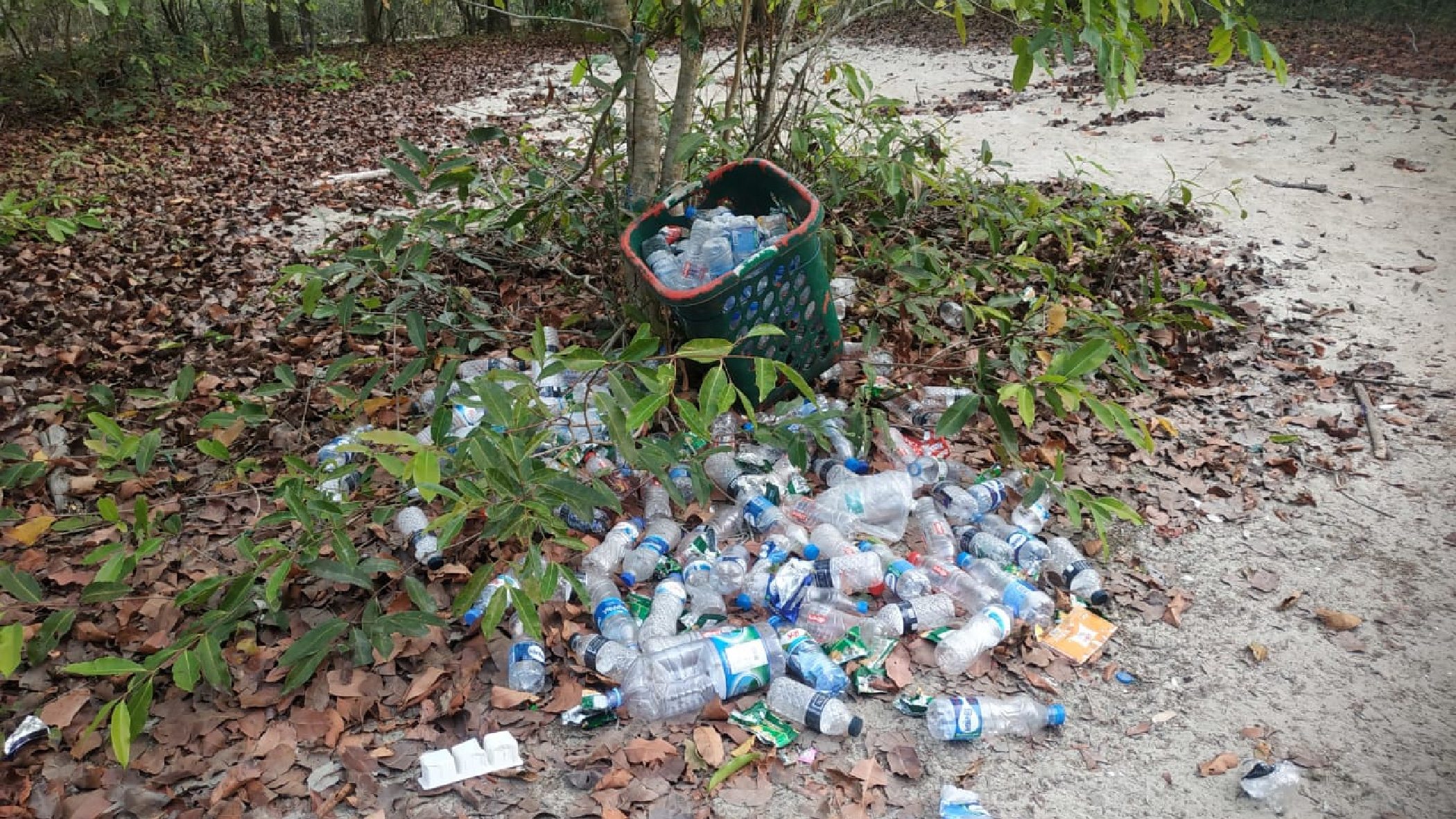 sundarban-plastic-pollution-2.jpg