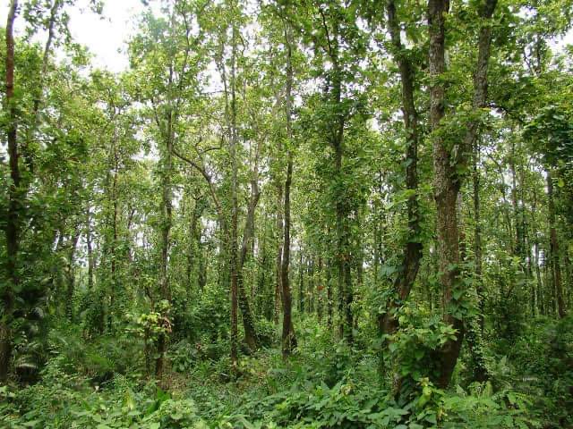 4 places to visit in Tangail