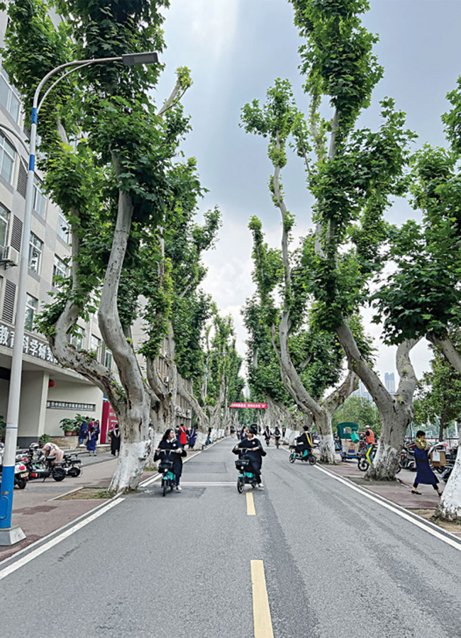 china-2_0.jpg
