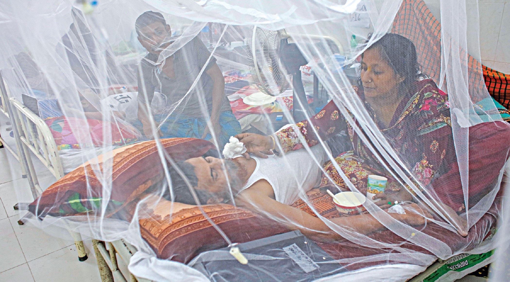 Dengue: 10 die, 1,357 hospitalised in a day