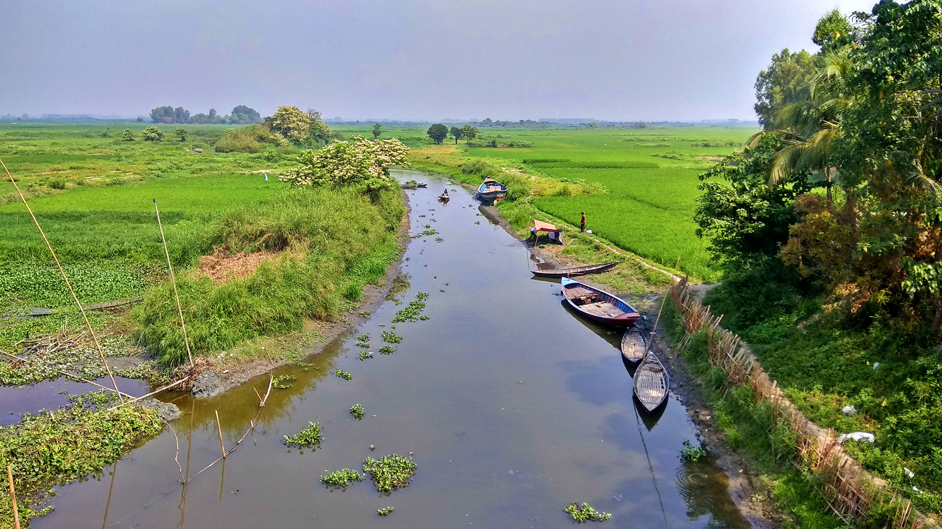 arial_beel_1.jpg