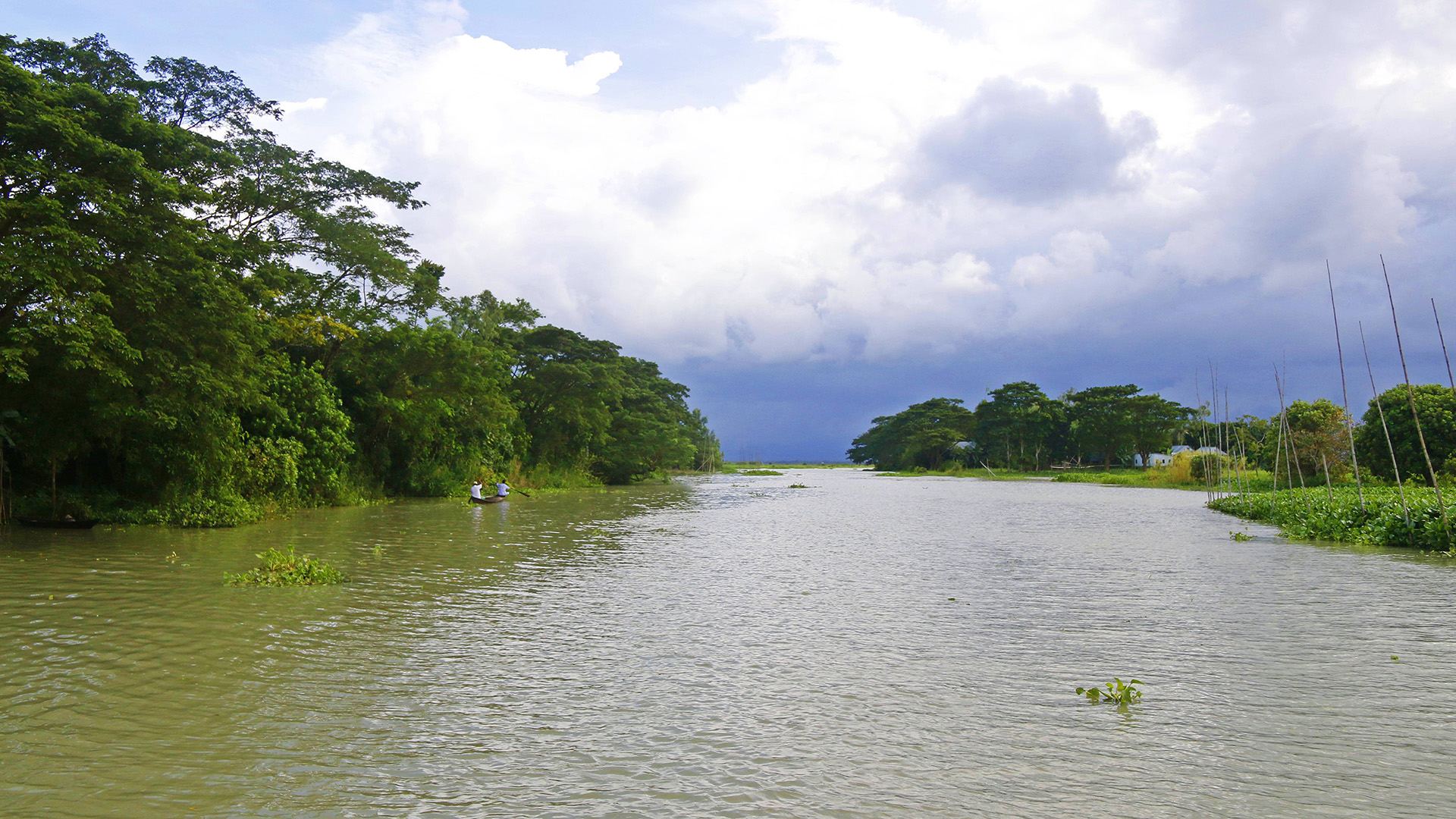 arial_beel_10.jpg