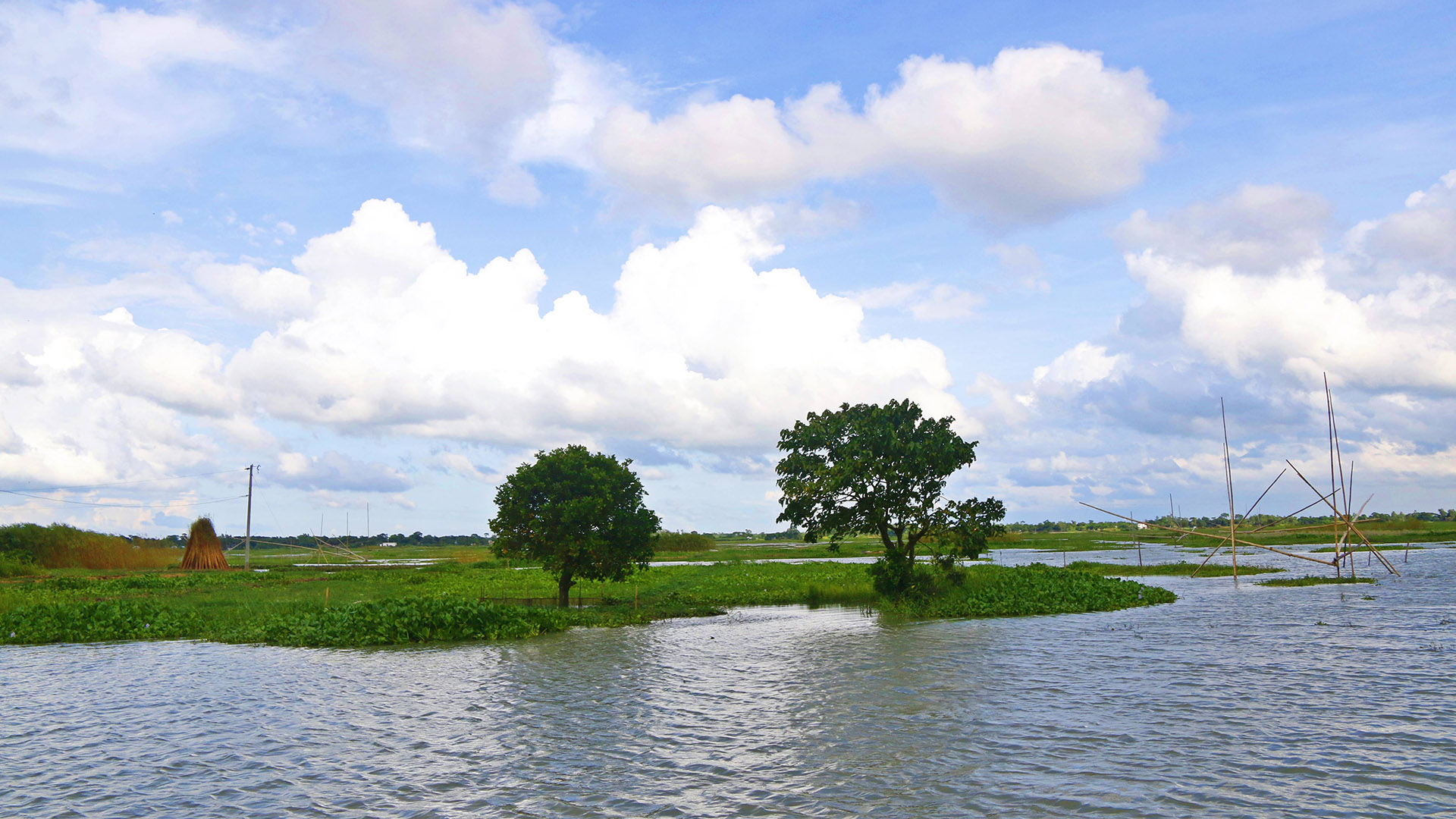 arial_beel_11.jpg