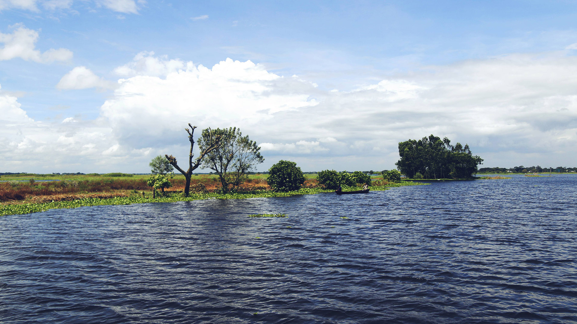 arial_beel_13.jpg