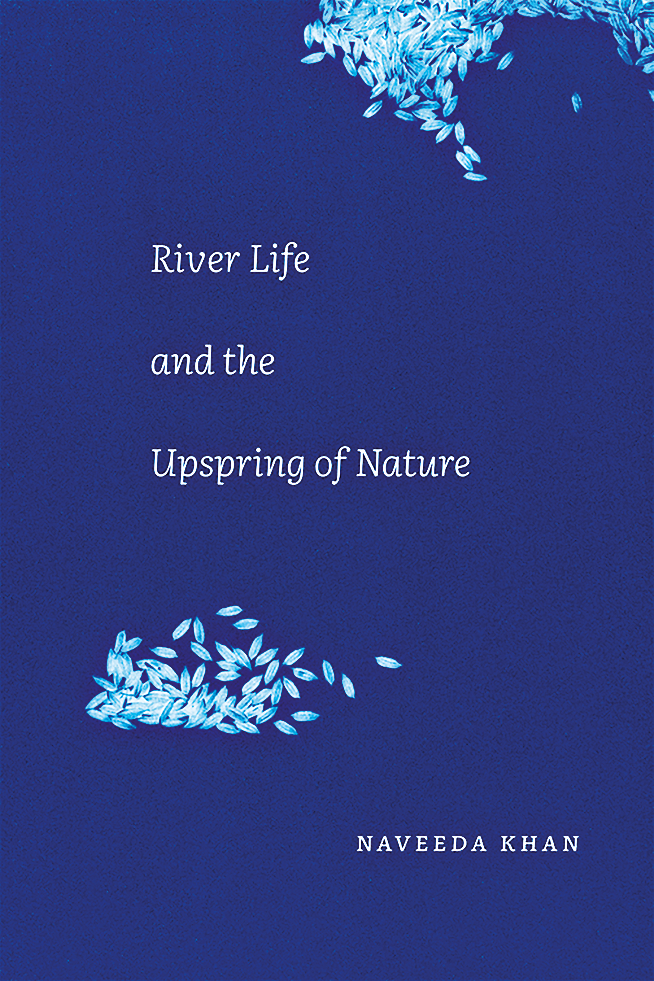 naveeda_book.jpg