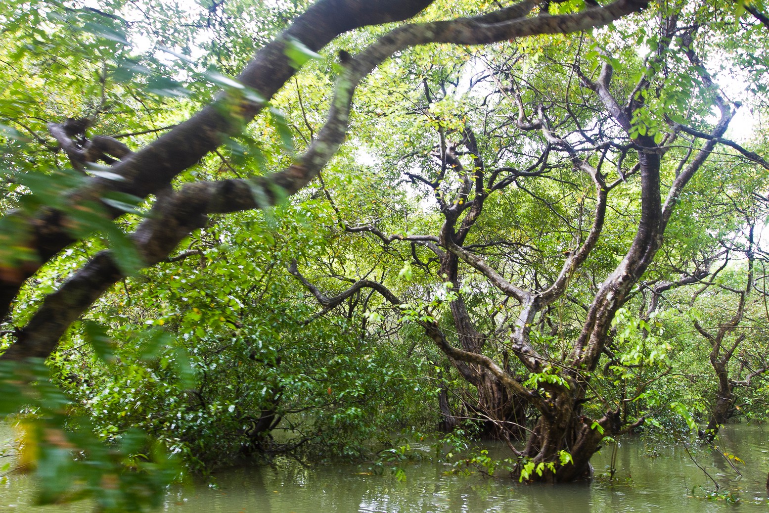 The splendour of Sylhet