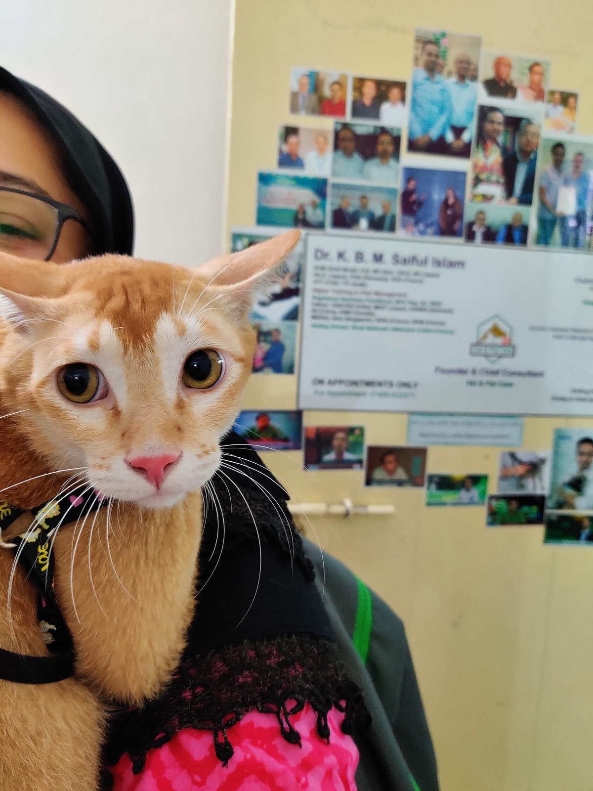 7 facts to consider before adopting a pet