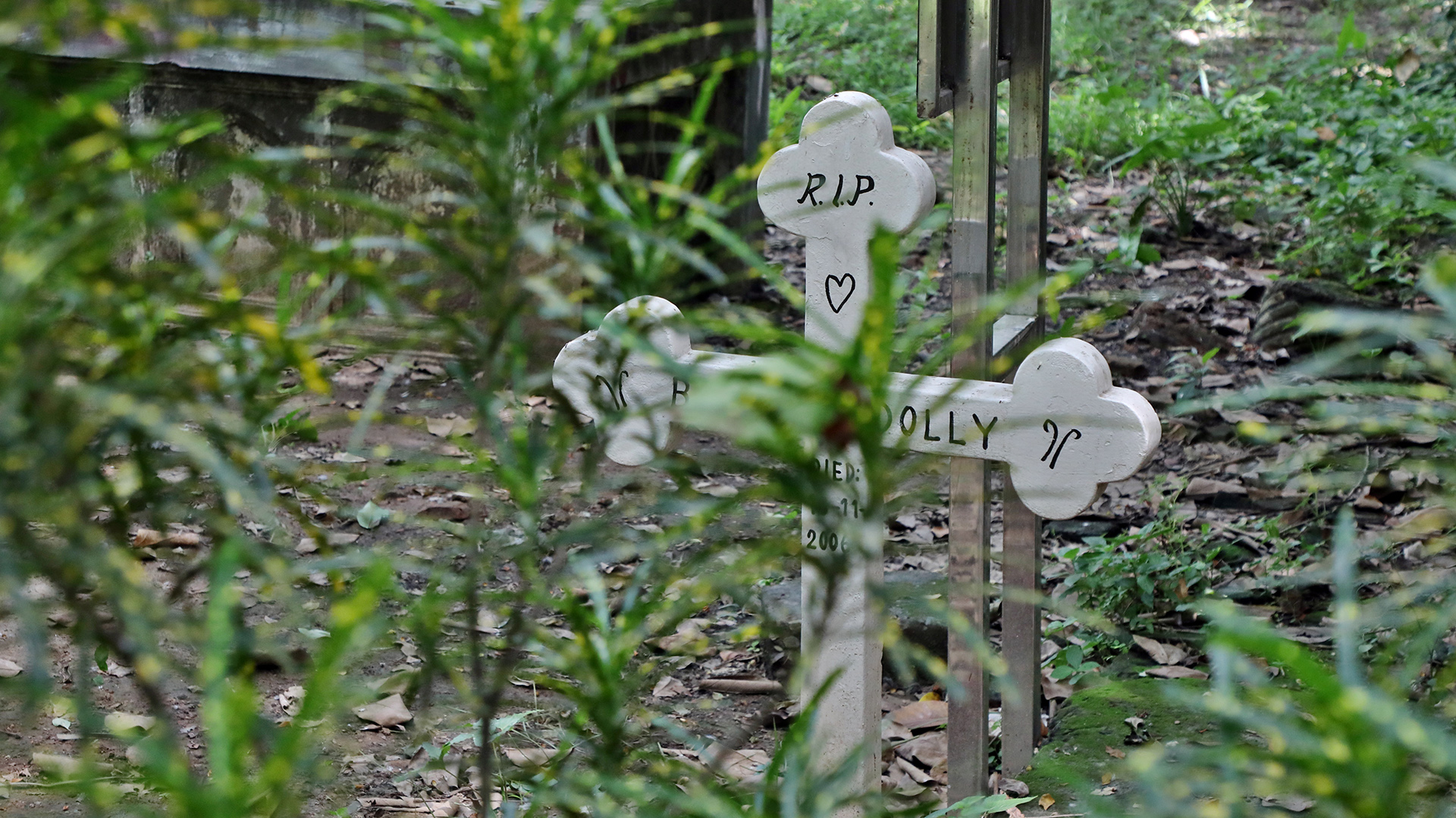 narinda_christian_cemetery_6.jpg