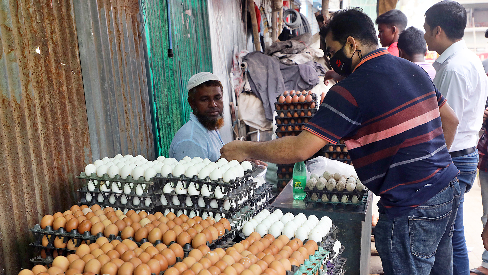 What to buy: chicken or egg?