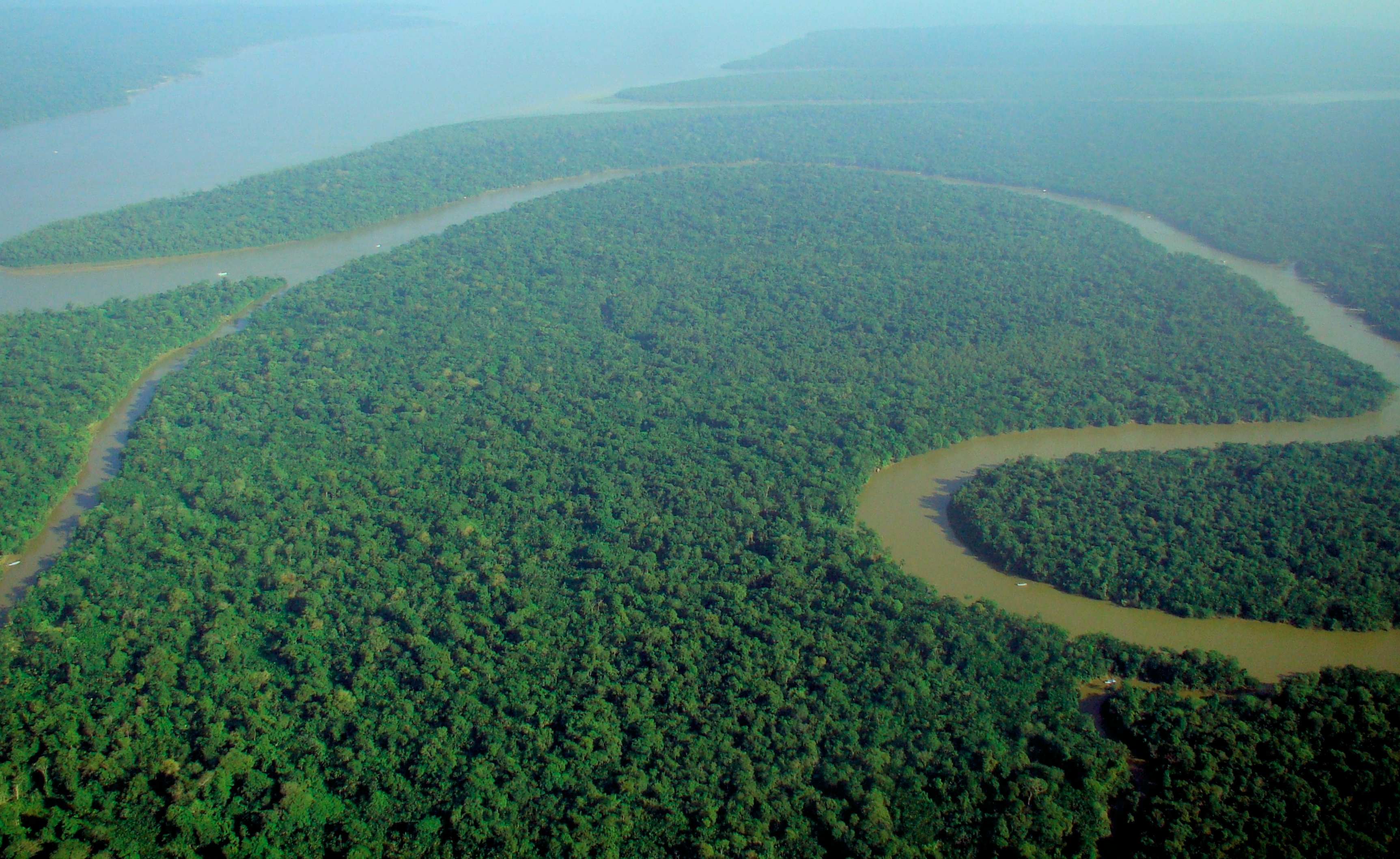 Amazon 7 most beautiful forests around the world 